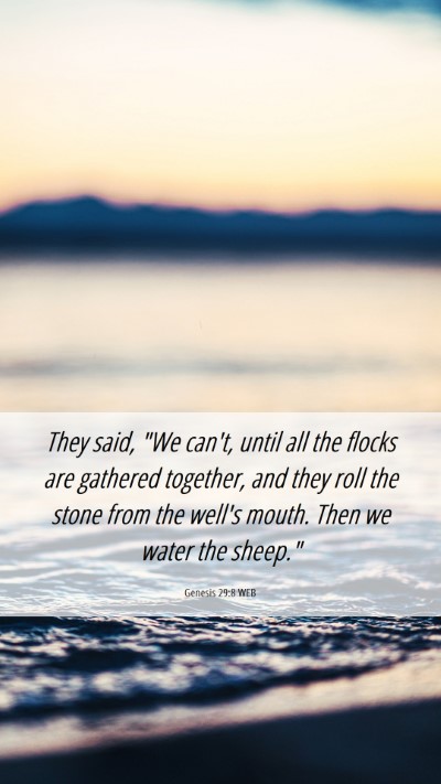 Picture 06 - Genesis 29:8 WEB Mobile Phone Wallpaper - They said, 