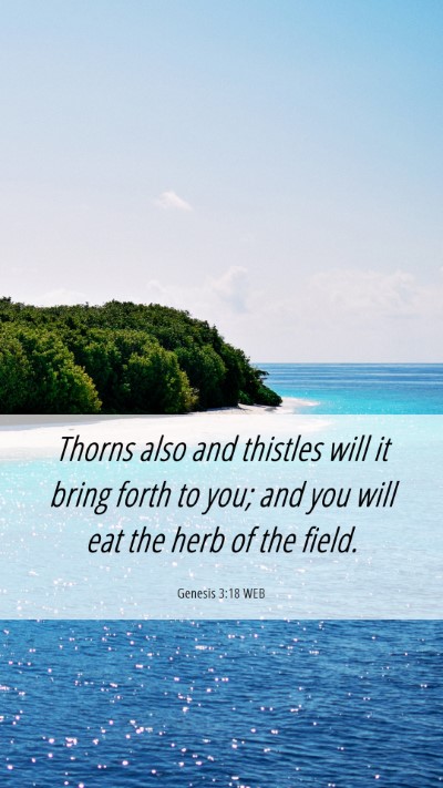 Picture 06 - Genesis 3:18 WEB Mobile Phone Wallpaper - Thorns also and thistles will it bring forth to - Mobile Bible Verse Wallpaper