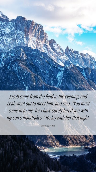 Picture 06 - Genesis 30:16 WEB Mobile Phone Wallpaper - Jacob came from the field in the evening, and - Mobile Bible Verse Wallpaper
