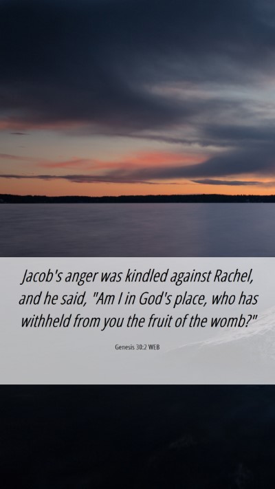 Picture 06 - Genesis 30:2 WEB Mobile Phone Wallpaper - Jacob's anger was kindled against Rachel, and he - Mobile Bible Verse Wallpaper