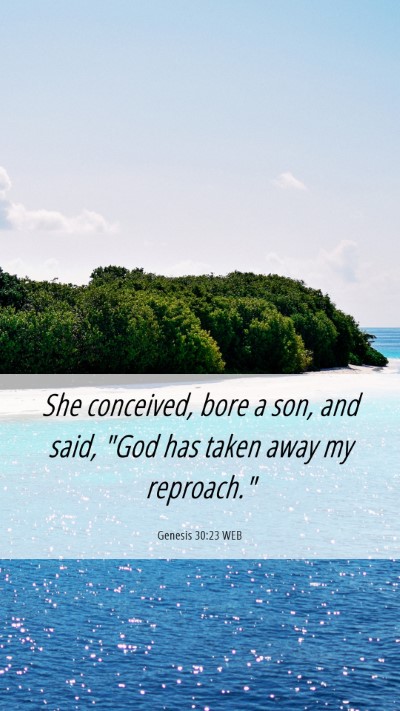 Picture 06 - Genesis 30:23 WEB Mobile Phone Wallpaper - She conceived, bore a son, and said, 