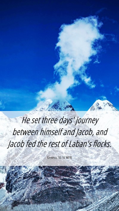 Picture 06 - Genesis 30:36 WEB Mobile Phone Wallpaper - He set three days' journey between himself and - Mobile Bible Verse Wallpaper