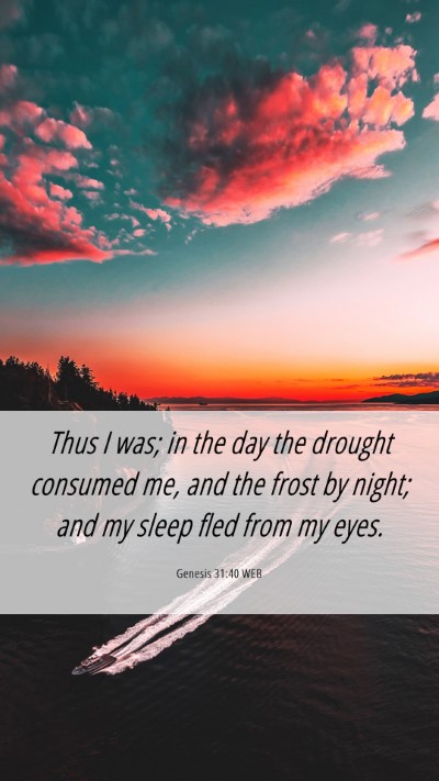 Picture 06 - Genesis 31:40 WEB Mobile Phone Wallpaper - Thus I was; in the day the drought consumed me, - Mobile Bible Verse Wallpaper