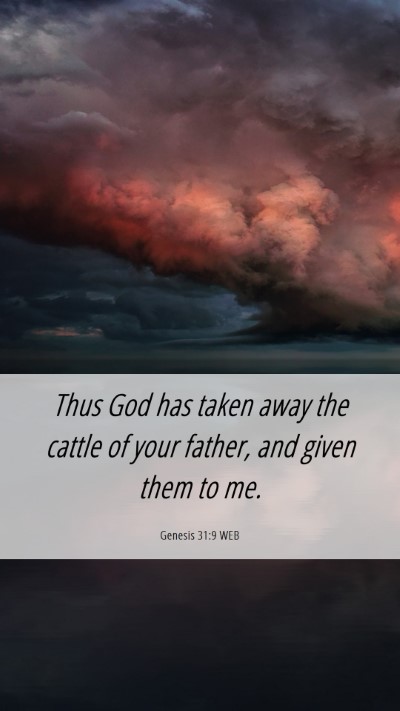 Picture 06 - Genesis 31:9 WEB Mobile Phone Wallpaper - Thus God has taken away the cattle of your - Mobile Bible Verse Wallpaper