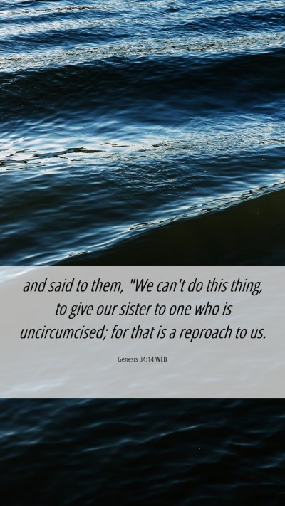 Picture 06 - Genesis 34:14 WEB Mobile Phone Wallpaper - and said to them, 