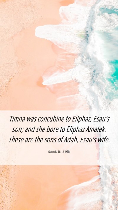 Picture 06 - Genesis 36:12 WEB Mobile Phone Wallpaper - Timna was concubine to Eliphaz, Esau's son; and - Mobile Bible Verse Wallpaper