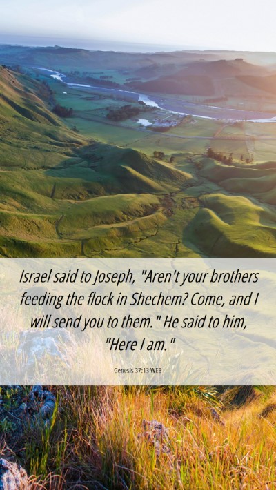 Picture 06 - Genesis 37:13 WEB Mobile Phone Wallpaper - Israel said to Joseph, 