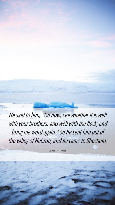 Picture 06 - Genesis 37:14 WEB Mobile Phone Wallpaper - He said to him, 