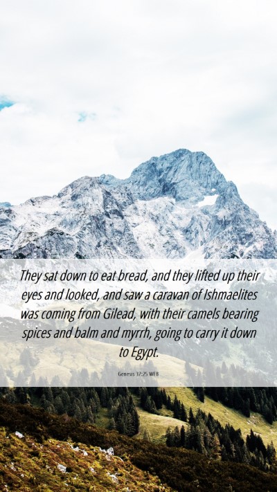 Picture 06 - Genesis 37:25 WEB Mobile Phone Wallpaper - They sat down to eat bread, and they lifted up - Mobile Bible Verse Wallpaper