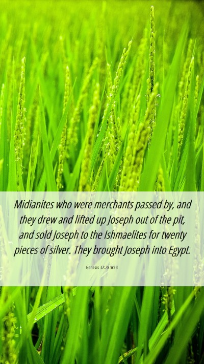Picture 06 - Genesis 37:28 WEB Mobile Phone Wallpaper - Midianites who were merchants passed by, and they - Mobile Bible Verse Wallpaper