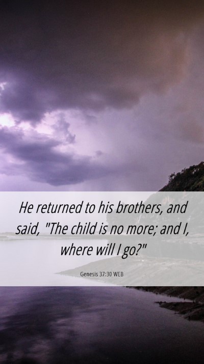 Picture 06 - Genesis 37:30 WEB Mobile Phone Wallpaper - He returned to his brothers, and said, 