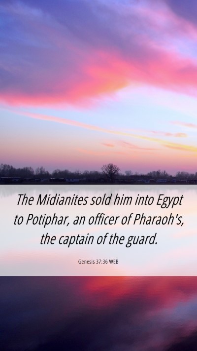 Picture 06 - Genesis 37:36 WEB Mobile Phone Wallpaper - The Midianites sold him into Egypt to Potiphar, - Mobile Bible Verse Wallpaper