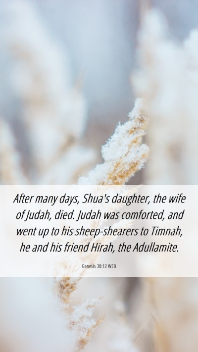 Picture 06 - Genesis 38:12 WEB Mobile Phone Wallpaper - After many days, Shua's daughter, the wife of - Mobile Bible Verse Wallpaper