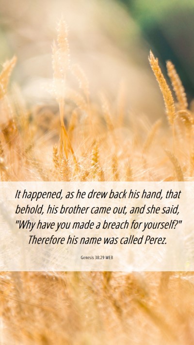 Picture 06 - Genesis 38:29 WEB Mobile Phone Wallpaper - It happened, as he drew back his hand, that - Mobile Bible Verse Wallpaper