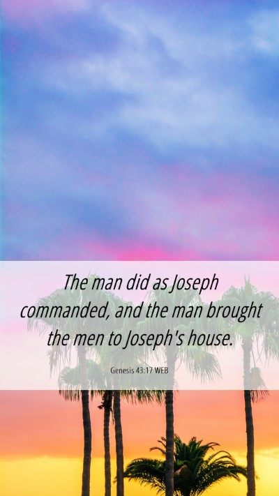 Picture 06 - Genesis 43:17 WEB Mobile Phone Wallpaper - The man did as Joseph commanded, and the man - Mobile Bible Verse Wallpaper