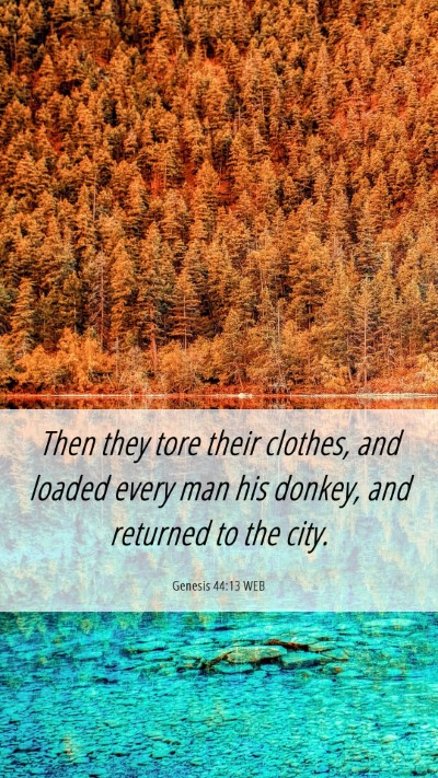 Picture 06 - Genesis 44:13 WEB Mobile Phone Wallpaper - Then they tore their clothes, and loaded every - Mobile Bible Verse Wallpaper