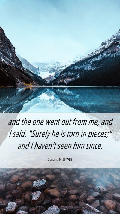 Picture 06 - Genesis 44:28 WEB Mobile Phone Wallpaper - and the one went out from me, and I said, 