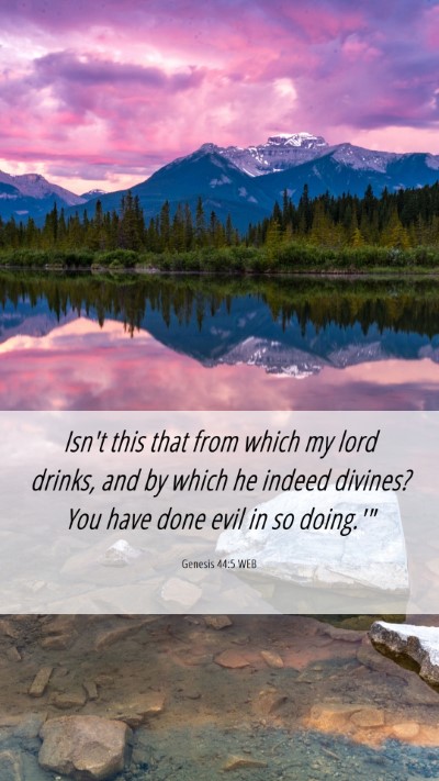 Picture 06 - Genesis 44:5 WEB Mobile Phone Wallpaper - Isn't this that from which my lord drinks, and by - Mobile Bible Verse Wallpaper