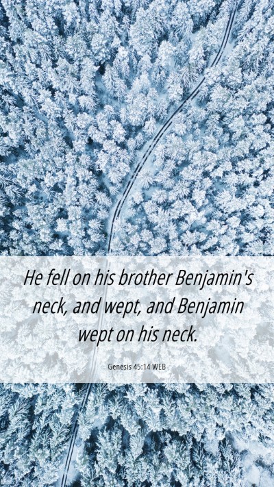 Picture 06 - Genesis 45:14 WEB Mobile Phone Wallpaper - He fell on his brother Benjamin's neck, and wept, - Mobile Bible Verse Wallpaper