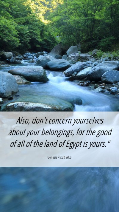 Picture 06 - Genesis 45:20 WEB Mobile Phone Wallpaper - Also, don't concern yourselves about your - Mobile Bible Verse Wallpaper