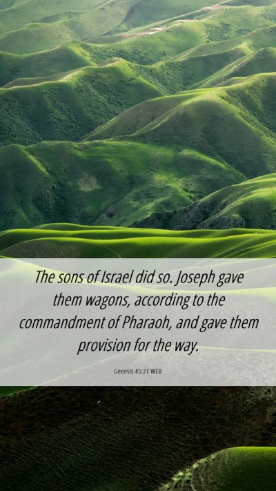 Picture 06 - Genesis 45:21 WEB Mobile Phone Wallpaper - The sons of Israel did so. Joseph gave them - Mobile Bible Verse Wallpaper