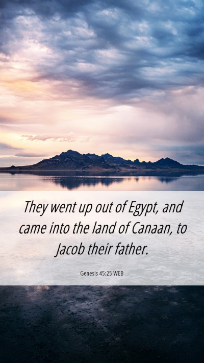 Picture 06 - Genesis 45:25 WEB Mobile Phone Wallpaper - They went up out of Egypt, and came into the land - Mobile Bible Verse Wallpaper