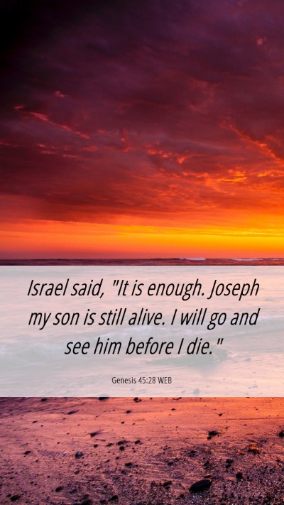 Picture 06 - Genesis 45:28 WEB Mobile Phone Wallpaper - Israel said, 