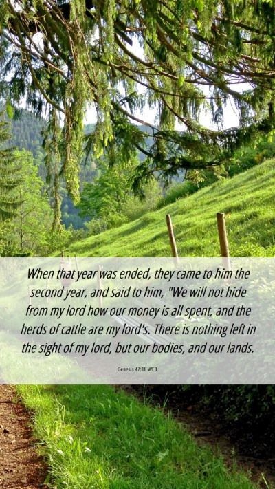 Picture 06 - Genesis 47:18 WEB Mobile Phone Wallpaper - When that year was ended, they came to him the - Mobile Bible Verse Wallpaper