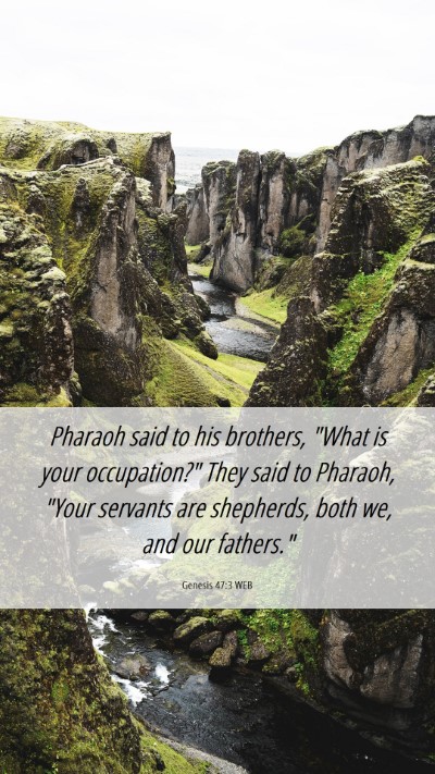 Picture 06 - Genesis 47:3 WEB Mobile Phone Wallpaper - Pharaoh said to his brothers, 
