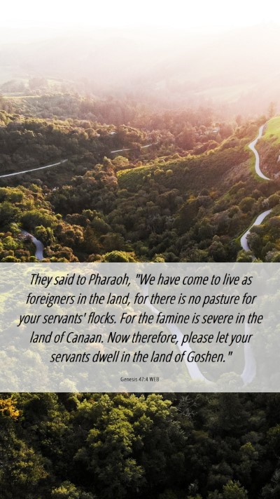 Picture 06 - Genesis 47:4 WEB Mobile Phone Wallpaper - They said to Pharaoh, 