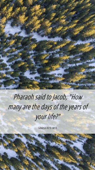 Picture 06 - Genesis 47:8 WEB Mobile Phone Wallpaper - Pharaoh said to Jacob, 