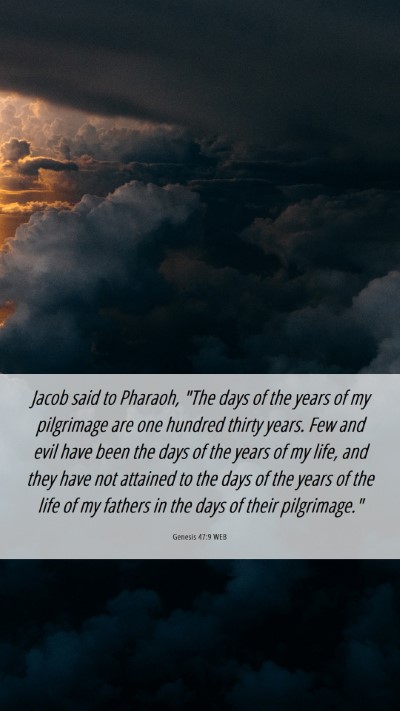 Picture 06 - Genesis 47:9 WEB Mobile Phone Wallpaper - Jacob said to Pharaoh, 
