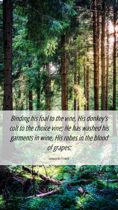 Picture 06 - Genesis 49:11 WEB Mobile Phone Wallpaper - Binding his foal to the vine, His donkey's colt - Mobile Bible Verse Wallpaper