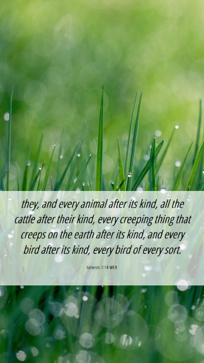 Picture 06 - Genesis 7:14 WEB Mobile Phone Wallpaper - they, and every animal after its kind, all the - Mobile Bible Verse Wallpaper