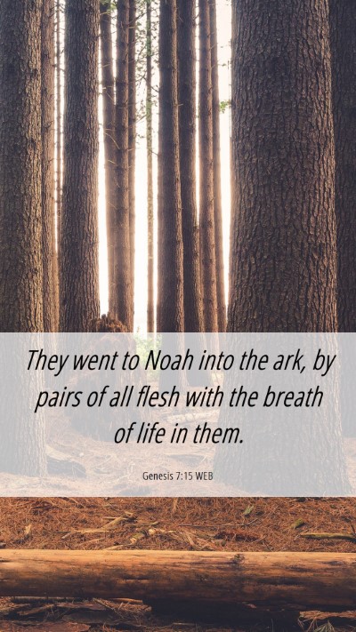 Picture 06 - Genesis 7:15 WEB Mobile Phone Wallpaper - They went to Noah into the ark, by pairs of all - Mobile Bible Verse Wallpaper