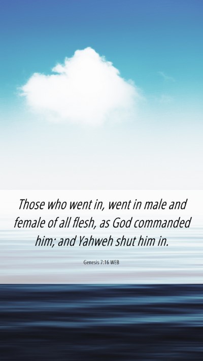 Picture 06 - Genesis 7:16 WEB Mobile Phone Wallpaper - Those who went in, went in male and female of all - Mobile Bible Verse Wallpaper