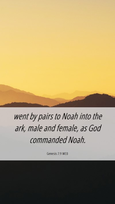 Picture 06 - Genesis 7:9 WEB Mobile Phone Wallpaper - went by pairs to Noah into the ark, male and - Mobile Bible Verse Wallpaper
