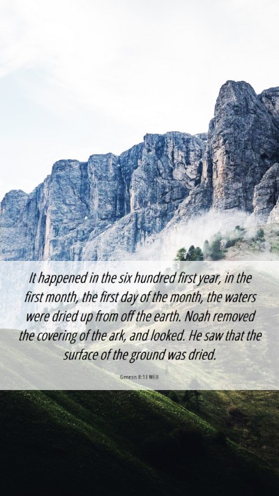 Picture 06 - Genesis 8:13 WEB Mobile Phone Wallpaper - It happened in the six hundred first year, in the - Mobile Bible Verse Wallpaper
