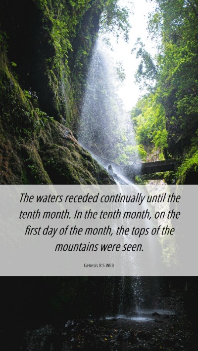 Picture 06 - Genesis 8:5 WEB Mobile Phone Wallpaper - The waters receded continually until the tenth - Mobile Bible Verse Wallpaper