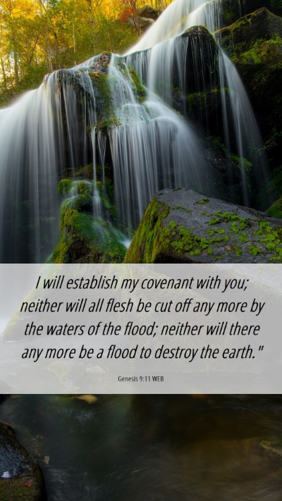 Picture 06 - Genesis 9:11 WEB Mobile Phone Wallpaper - I will establish my covenant with you; neither - Mobile Bible Verse Wallpaper
