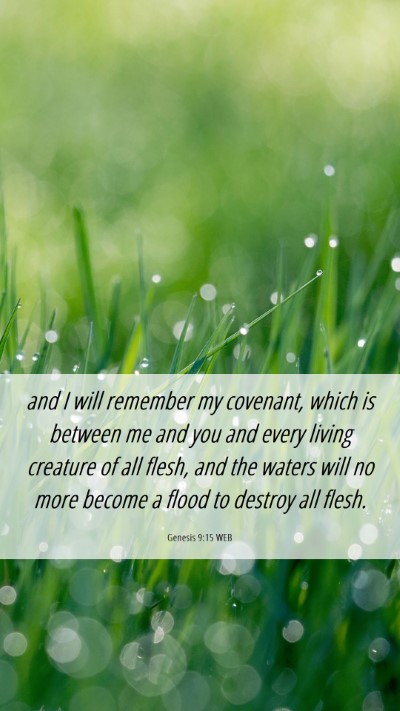 Picture 06 - Genesis 9:15 WEB Mobile Phone Wallpaper - and I will remember my covenant, which is between - Mobile Bible Verse Wallpaper