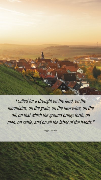 Picture 06 - Haggai 1:11 WEB Mobile Phone Wallpaper - I called for a drought on the land, on the - Mobile Bible Verse Wallpaper