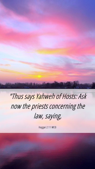 Picture 06 - Haggai 2:11 WEB Mobile Phone Wallpaper - 