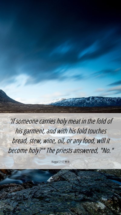 Picture 06 - Haggai 2:12 WEB Mobile Phone Wallpaper - 'If someone carries holy meat in the fold of his - Mobile Bible Verse Wallpaper