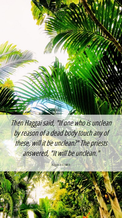 Picture 06 - Haggai 2:13 WEB Mobile Phone Wallpaper - Then Haggai said, 