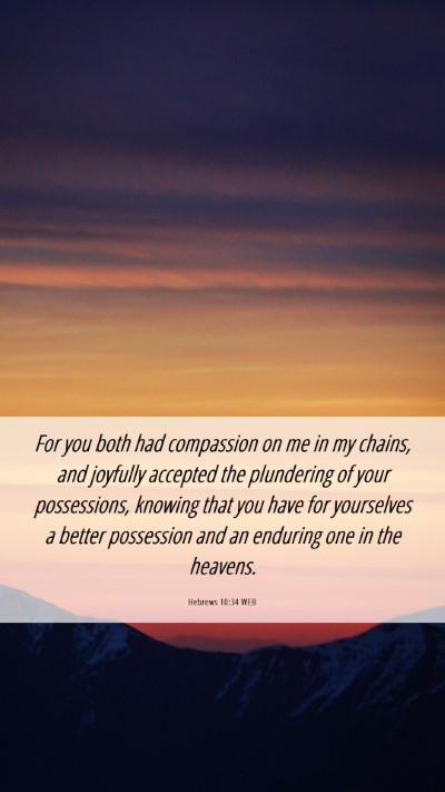 Picture 06 - Hebrews 10:34 WEB Mobile Phone Wallpaper - For you both had compassion on me in my chains, - Mobile Bible Verse Wallpaper