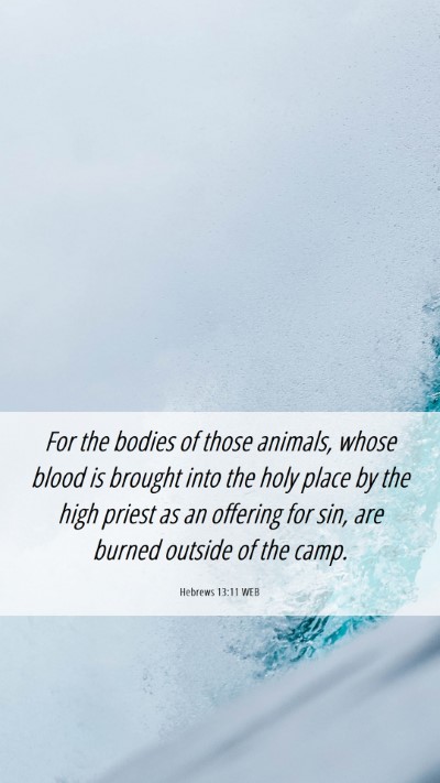 Picture 06 - Hebrews 13:11 WEB Mobile Phone Wallpaper - For the bodies of those animals, whose blood is - Mobile Bible Verse Wallpaper