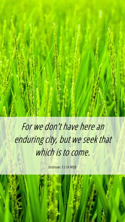 Picture 06 - Hebrews 13:14 WEB Mobile Phone Wallpaper - For we don't have here an enduring city, but we - Mobile Bible Verse Wallpaper