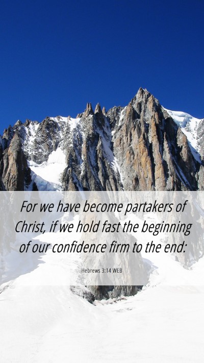 Picture 06 - Hebrews 3:14 WEB Mobile Phone Wallpaper - For we have become partakers of Christ, if we - Mobile Bible Verse Wallpaper