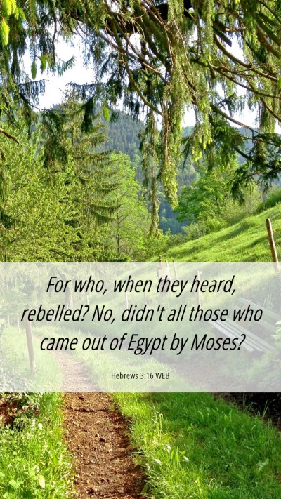Picture 06 - Hebrews 3:16 WEB Mobile Phone Wallpaper - For who, when they heard, rebelled? No, didn't - Mobile Bible Verse Wallpaper